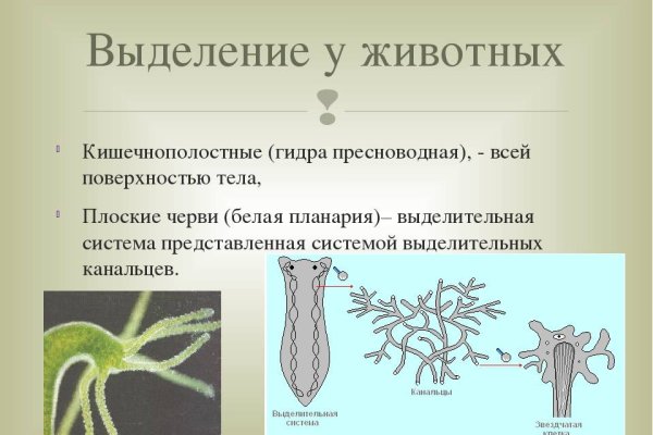 Через какой браузер заходить на кракен