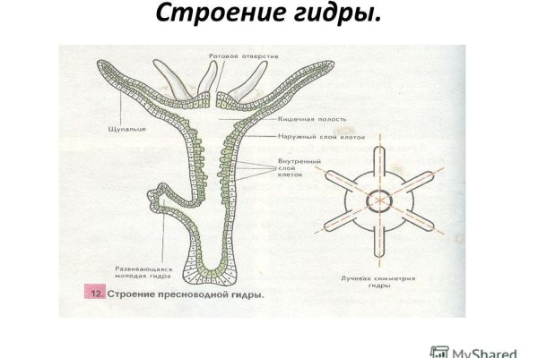 Ссылка на кракен тор