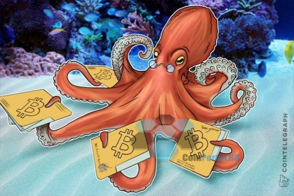 Kraken настоящая ссылка